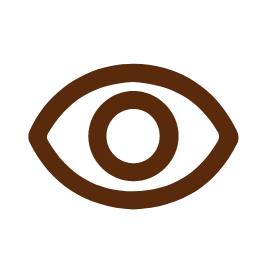 Visible Icon, visible,eye