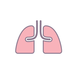 Lungs (Breathing) Icon, lungs,breathing