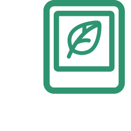 Image Icon, image,plant