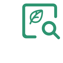 Search Icon, search,plant