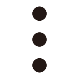 More Dots (Vertical) Icon, more,options