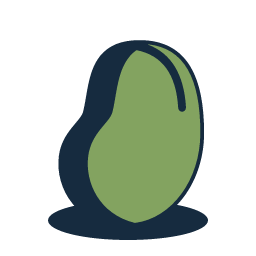 Broad Bean Icon, broad bean,legume