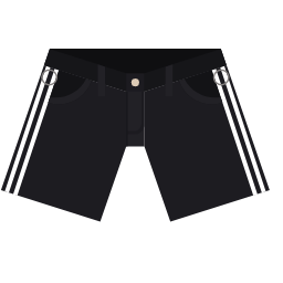Shorts Icon, shorts,clothing