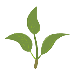 3D Growth Simulation Icon, 3D,growth,simulation