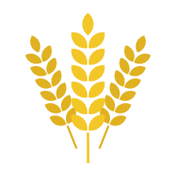 Wheat Options Icon, wheat,options,agriculture