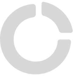 Doughnut Chart Icon, doughnut chart,proportional data