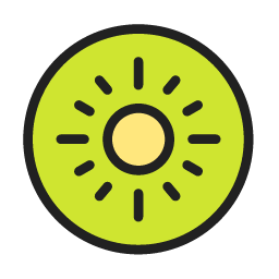 Dried Kiwifruit Icon, dried kiwifruit,fruit,snack