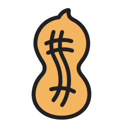 Peanut Icon, peanut,nut,snack