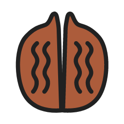 Walnut Icon, walnut,nut,snack