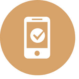Mobile Check - in Icon, mobile check - in,phone