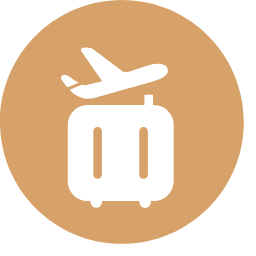 Priority Baggage Arrival Icon, baggage arrival,plane