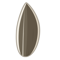 Sunflower Seeds Icon, sunflower seeds,snack