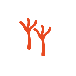 Chicken Feet Icon, chicken feet,meat