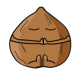 Walnut Icon, walnut,nut