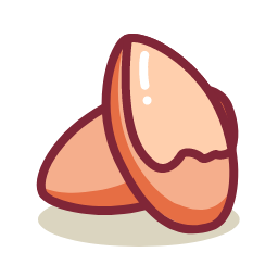 Apricot Kernel Icon, apricot kernel,nut