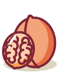 Paper - skinned Walnut Icon, walnut,nut