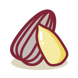 Sunflower Seed Icon, sunflower seed,seed