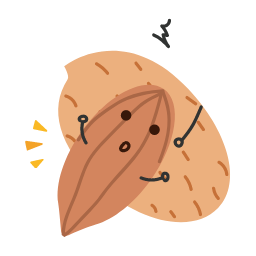 Cartoon Almond Nut Icon, almond nut,snack,cartoon