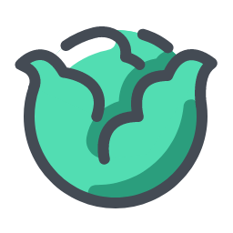 Cabbage Icon, cabbage,vegetable