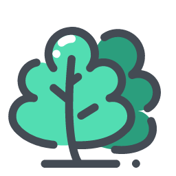 Small Sapling Icon, sapling,plant