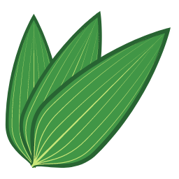 Bamboo Leaves Icon, bamboo leaves,zongzi,food
