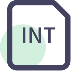 INT File Extension Icon, INT,internal,file