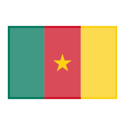 Cameroon Flag Icon, Cameroon,flag