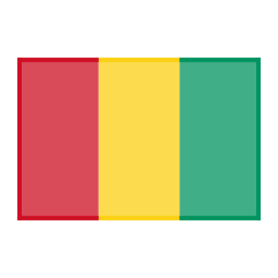 Guinea Flag Icon, Guinea,flag