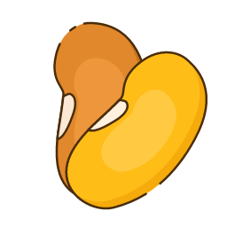 Broad Bean Icon, broad bean,legume
