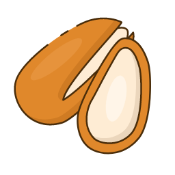 Pine Nut Icon, pine nut,nut