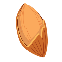 Almond Icon, almond,nut