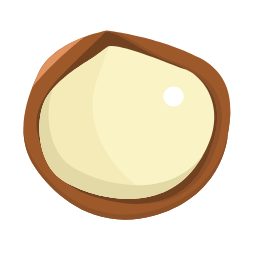 Macadamia Nut Icon, macadamia,nut
