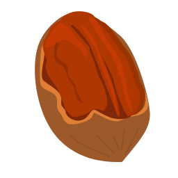 Pecan Icon, pecan,nut