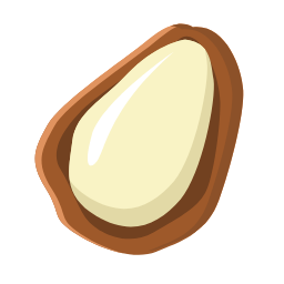 Pine Nut Icon, pine nut,nut