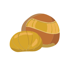 Chestnut Icon, chestnut,nut