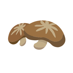 Dried Mushroom Icon, dried mushroom,fungus
