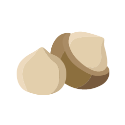 Macadamia Nut Icon, macadamia,nut