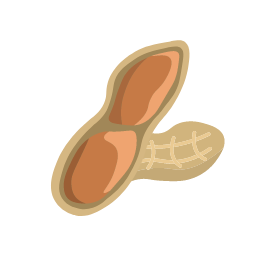 Peanut Icon, peanut,nut