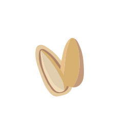 Pine Nut Icon, pine nut,nut