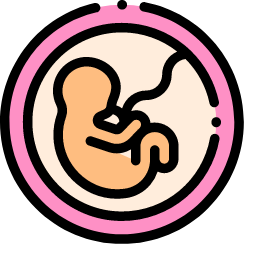 Fetus Icon, fetus,pregnancy