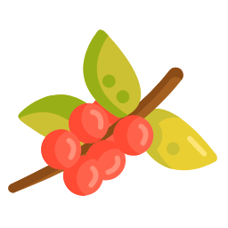 Coffee Tree Icon, coffee tree,coffee plant