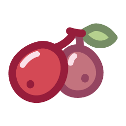 Dried Cranberry Icon, dried cranberry,dried fruit