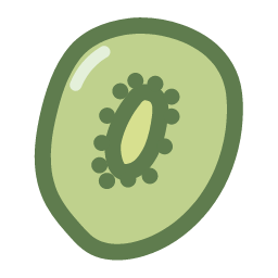 Dried Kiwi Icon, dried kiwi,dried fruit