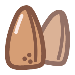 Pine Nut Icon, pine nut,nut