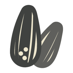 Sunflower Seed Icon, sunflower seed,seed
