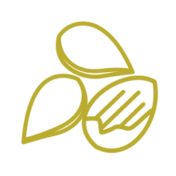 Almond Icon, almond,nut
