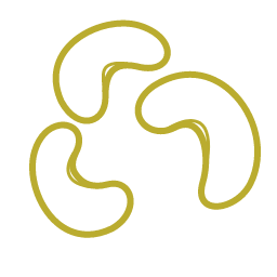 Cashew Icon, cashew,nut
