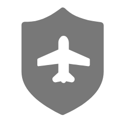 Flight Security Icon, flight,security,travel
