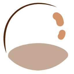 Macadamia Nut Icon, macadamia nut,nut