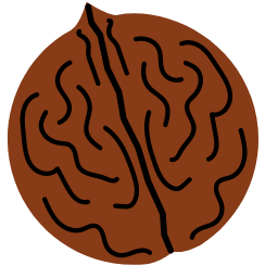 Walnut Icon, walnut,nut